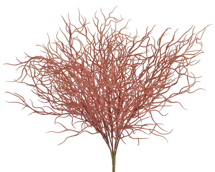 Tillandsia, 40 cm, 7 větviček, barva_15