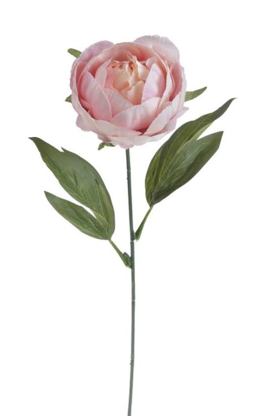 Umělá  pivoňka na stonku, hlavička Ø6cm/dl.44cm