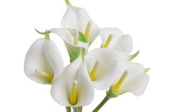 Svazek umělých kal, hlavička 7cm dl. 37cm - 7 kusů