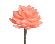 Umělý  sukulent 13cm