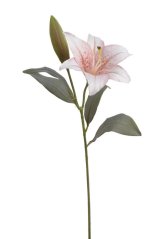 Umělá květina lilie 1 květ Ø 15cm +1 poupě , dl. 53cm