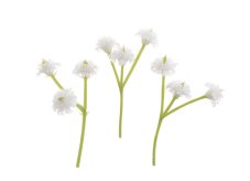 Dekorace umělé květy gipsofila 1cm/5cm - 80ks