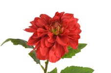 Umělá květina kvetoucí dahlie, květ Ø 12cm, dl.56cm