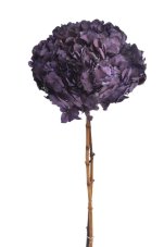 Stabilizovaná hortenzie tmavě fialová 20–25 cm
