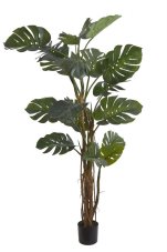 Dekorace umělý monstera v květináči Ø 15cm, celkem 210cmH