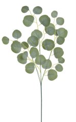 Uměá větvička Eukaliptus populus dl. 75cm