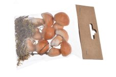Umělé hřiby na drátku 4-5cm - 6ks