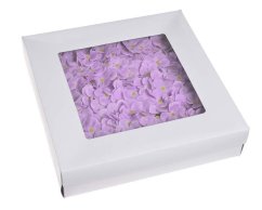 197CANXQ_04 hortenzie mýdlová 25ks