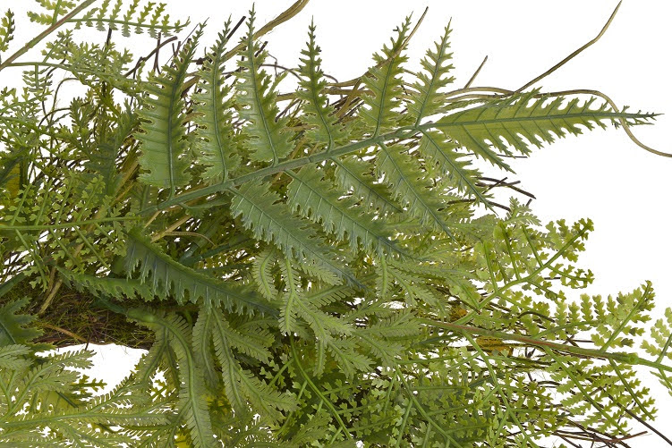 Věnec z proutí a umělého kapradí Ø 42cm