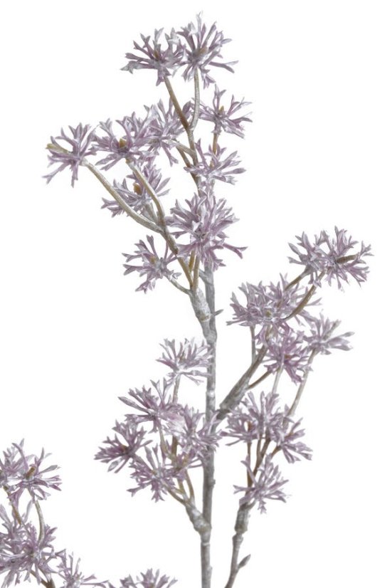 Vánoční dekorace - barvená větvička skimie dl. 64cm - zápich