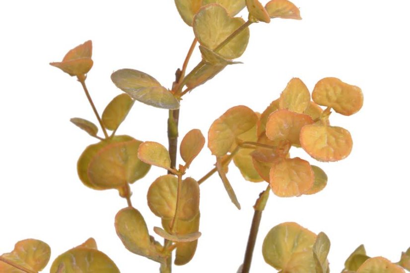 Větvička umělého eukaliptu dl. 48cm