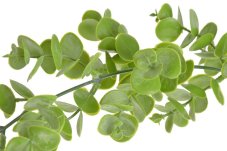 Girlanda umělého eukaliptus dl. 190cm