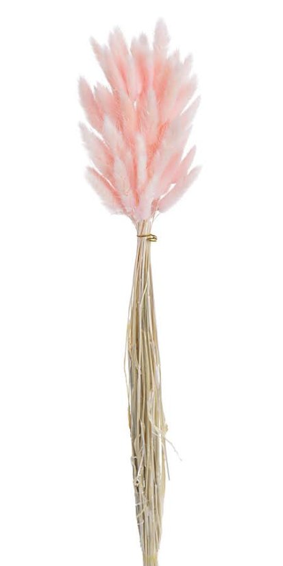 Přírodní sušený,bělený/barvený lagurus dl. 60cm  LT.PINK