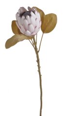 Umělá kvetoucí protea, květ Ø 10cm, dl. celkem 66cm