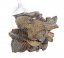 Pláty přírodního dřeva LTG 9-20cm - 500g