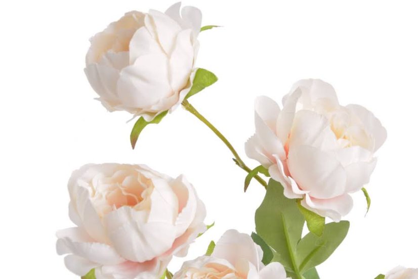 Trs umělých čínských pivoněk se sedmi květy, květ Ø 6 cm, dl 72 cm