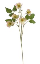 Umělá čemeřice, květ 7cm, dl. celkem 62cm