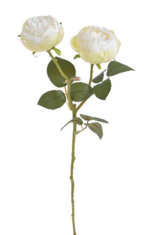 Umělá polorozvitá růže - květy Ø 5,5cm , dl. 47cm