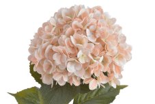 Umělá hortenzie s listy, hlava Ø 20cm, dl.80cm