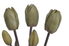 Svazek tulipánů s listy, 5 ks (3 květy + 2 poupata) 46 cm, barva 02
