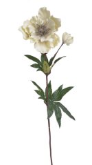 Umělá sametová čemeřice, květ Ø 11cm, dl.60cm