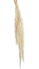 Přírodní preparovaný Amaranthus dl. 100cm 5szt White