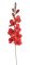 Umělá rozkvetlá gladiola, květ Øcca8cm/dl.78cm