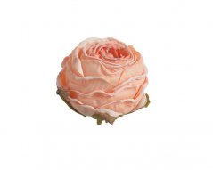 Hlavička umělé růže 4 cm "sušený vzhled" 12ks