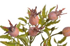 Umělá větev divoké růže dl. 48cm