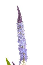 Umělá ostrožka s listy - 2 výhony dl. 78cm
