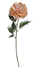 Květ rozkvetlé pivoňky na dlouhém stonku dl. 96cm_5399