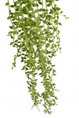 Umělá rostlina stařeček převislý dl. 76cm