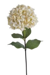 Umělá hortenzie, hlavička Ø 22cm. celkem dl.76cm