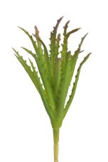 Umělý sukulent aloe H18cm