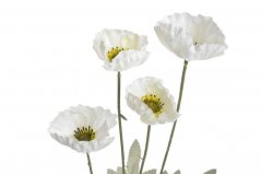 Máky 4 květy, 59 cm - bílé 01