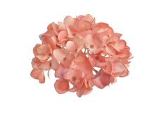 Umělá hlavička hortenzie Ø 14cm - 6ks