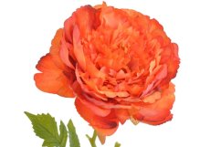 Umělá rozkvetlá pivoňka - květ Ø 10 cm, dl. 66cm