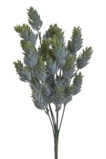 Chmel 32 cm, 6 větviček