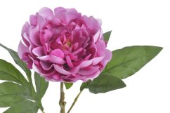 Umělá pivoňka na stonku, hlavička Ø12cm/dl.56cm