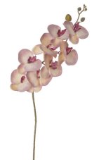 Lata umělých orchidejí, květ 10cm, dl. 90cm