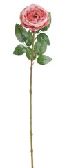 Umělá růže Austin, hlavička Ø 10cm/dl. 68cm - růžová