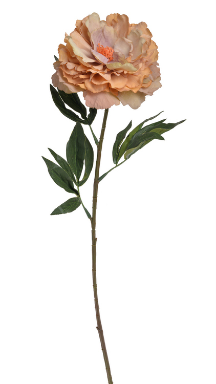 Květ rozkvetlé pivoňky na dlouhém stonku dl. 96cm_5399