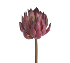 Sedum umělý sukulent 14cm