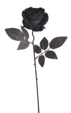 Umělá rozkvetlá velvetová růže, hlavička Ø 9cm/celkem dl. 50 cm