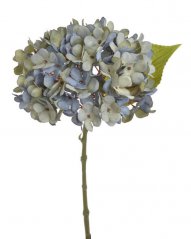 Květ hortenzie na stonku s listy - květ Ø 14 cm, dl. 33 cm