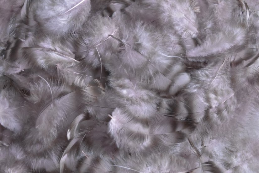 Přírodní barvené peří 5 - 8 cm - mix 5g PK