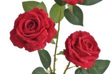 Umělá velvetová růže, 3 květy Ø 11cm dl. celkem 107cm