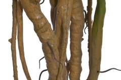 Dekorace umělý monstera v květináči Ø 15cm, celkem 210cmH