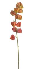 Umělá kvetoucí rostlina Mochyně Physalis dl. 78cm - zápich