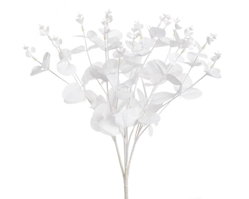Kytice eukalyptus, 4 větvičky, 49 cm, barva - 09